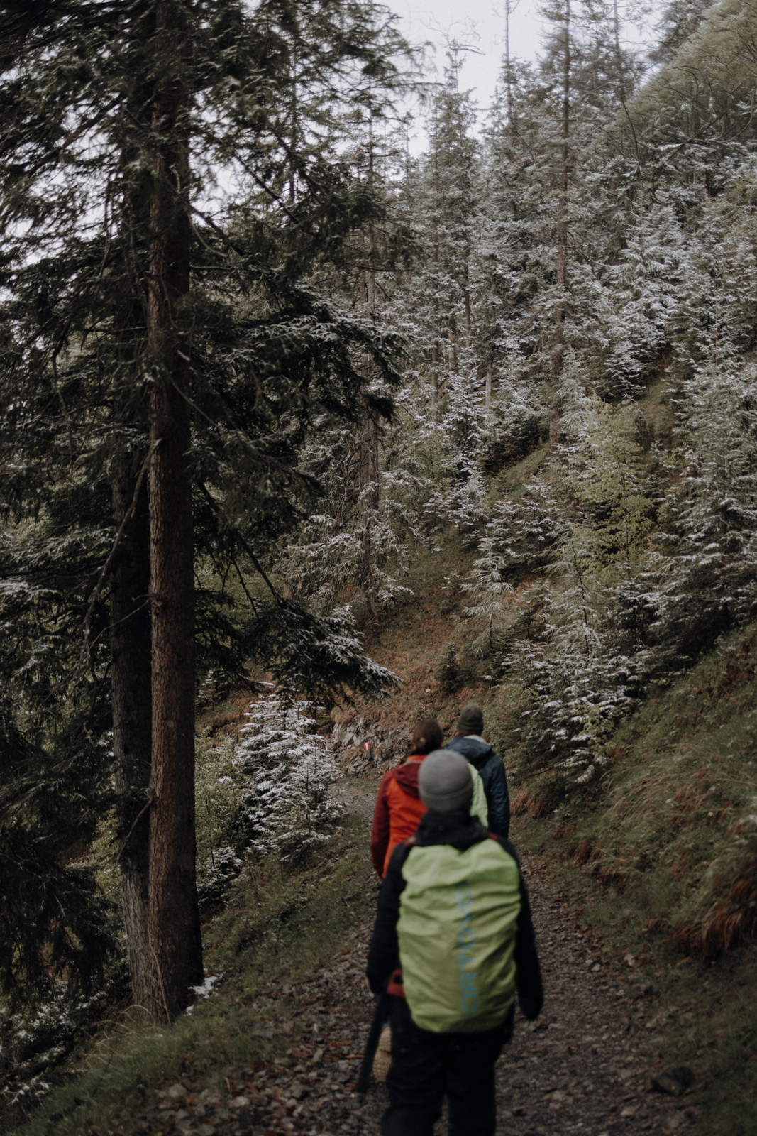 Achensee geführte Wanderung Gipfeltour Zwölferkopf