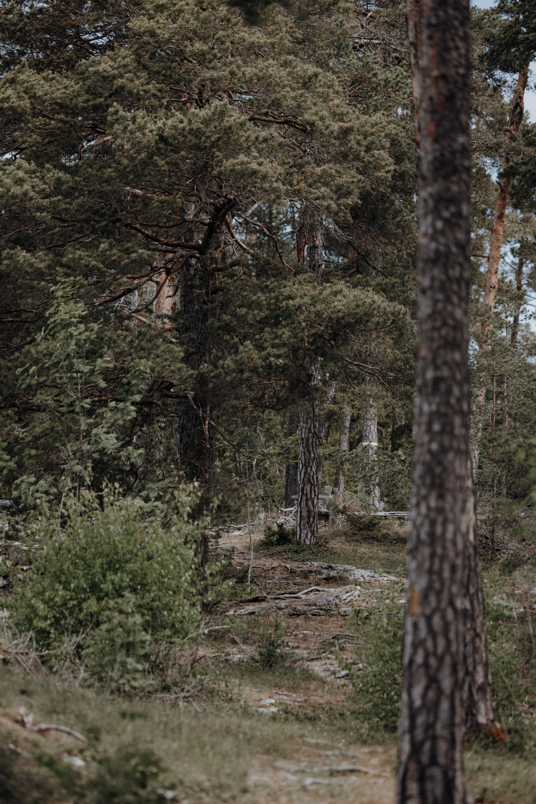 Gotland Torsburgen Wanderung