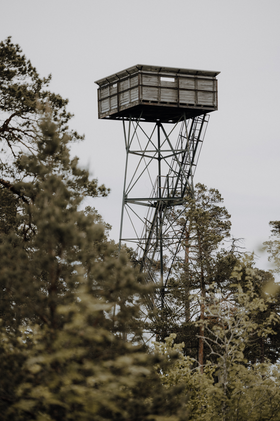 Gotland Torsburgen Wanderung