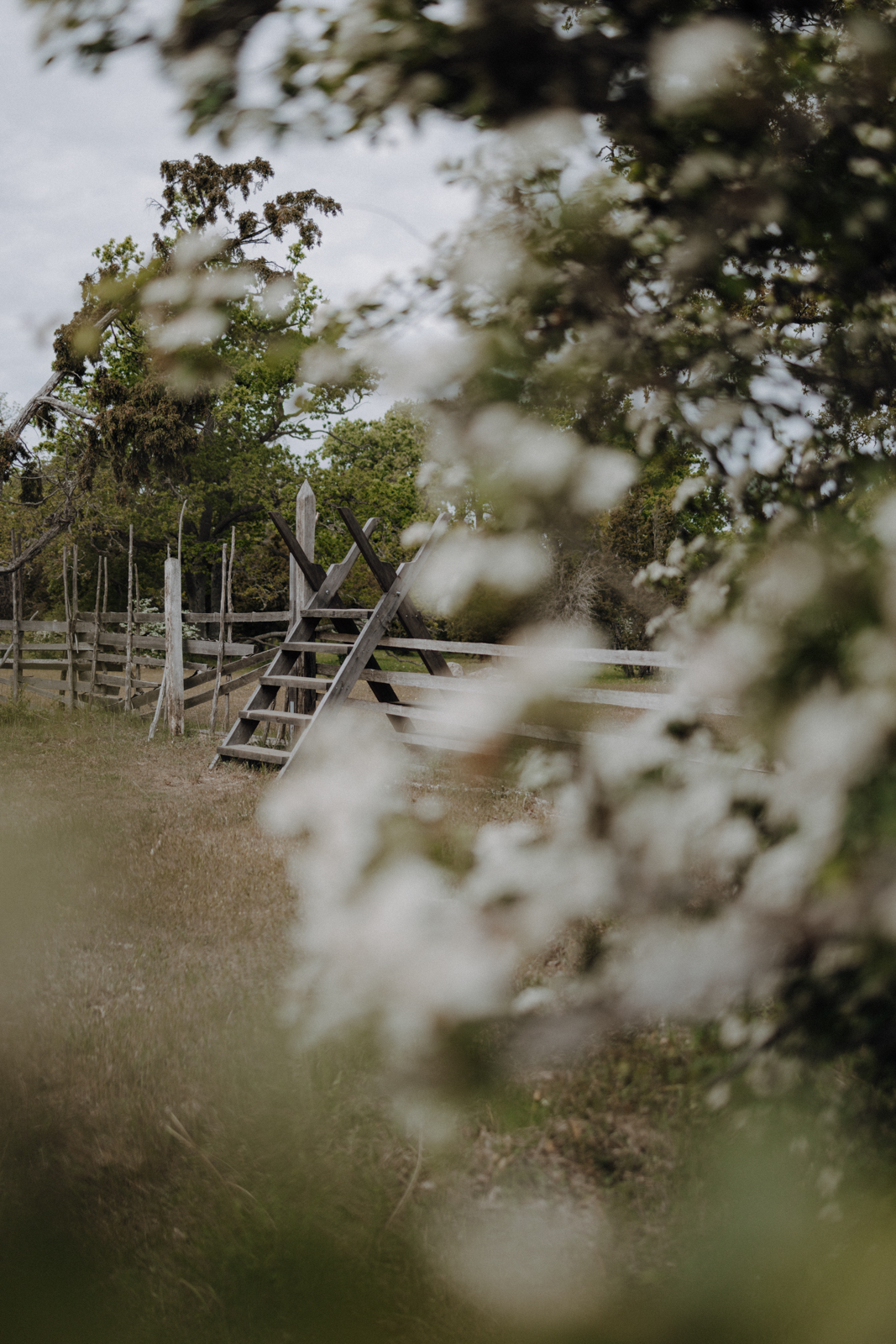 Gotland Geheimtipp Fjäle Ödegård