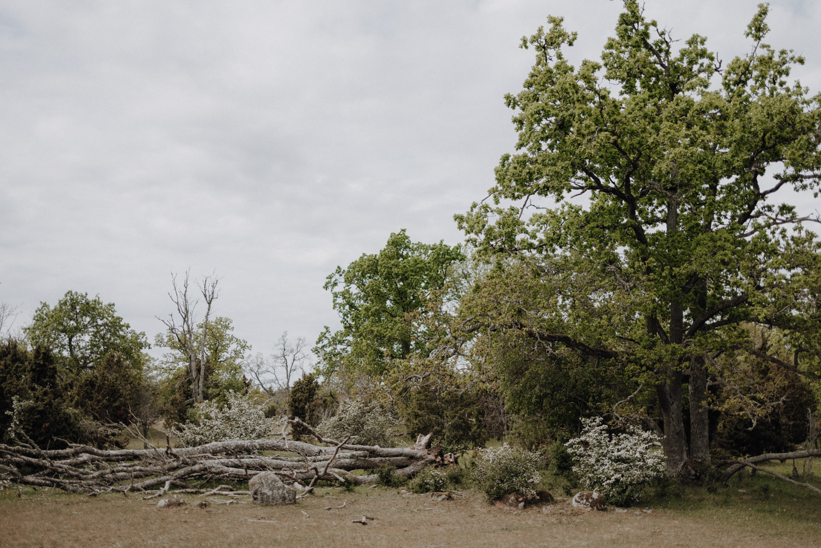 Gotland Geheimtipp Fjäle Ödegård