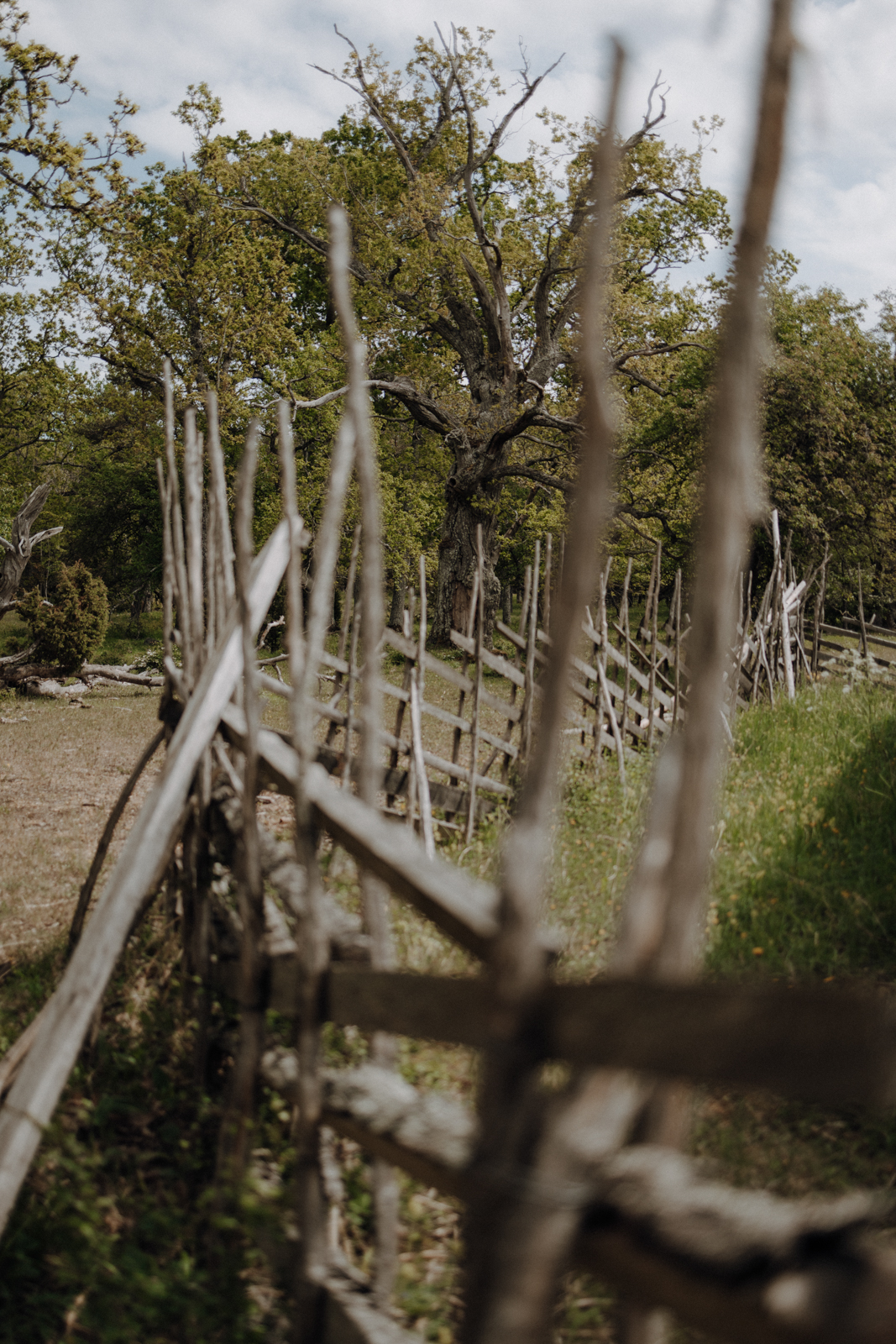 Gotland Geheimtipp Fjäle Ödegård