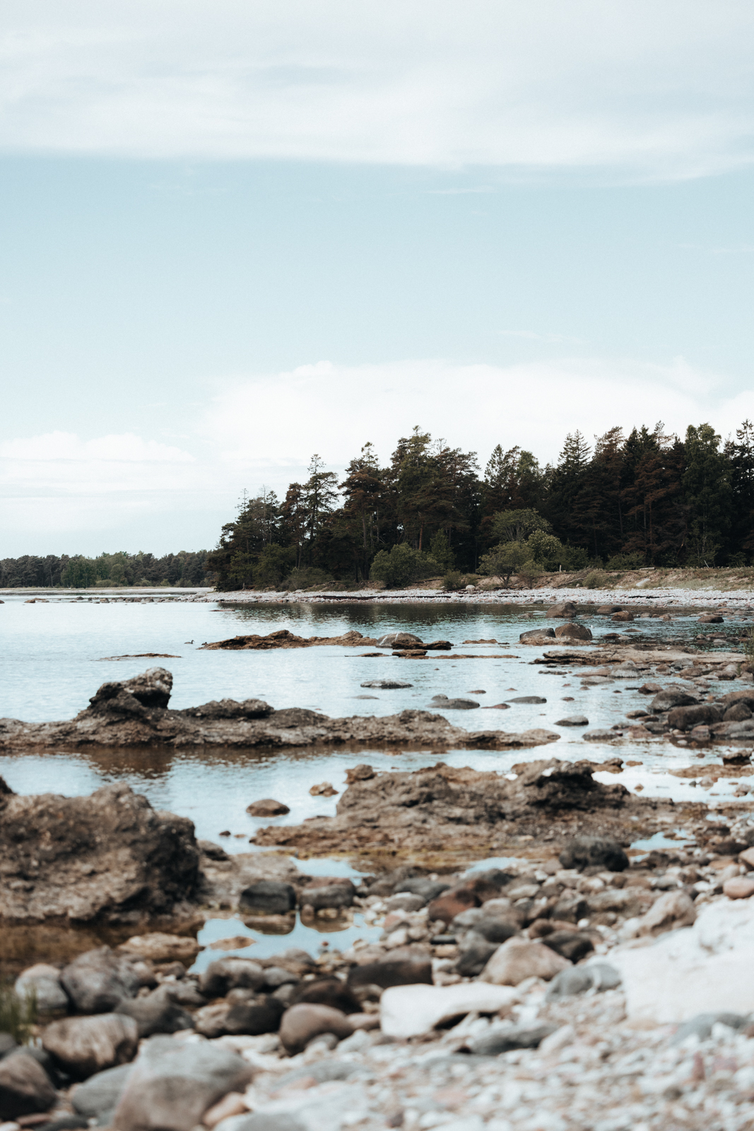 Gotland Folhammar Rauken