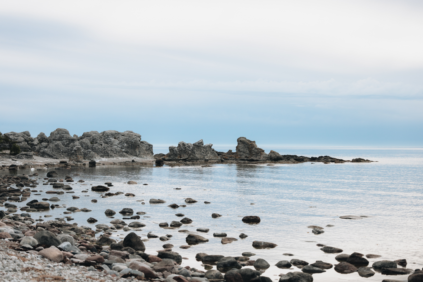 Gotland Folhammar Rauken