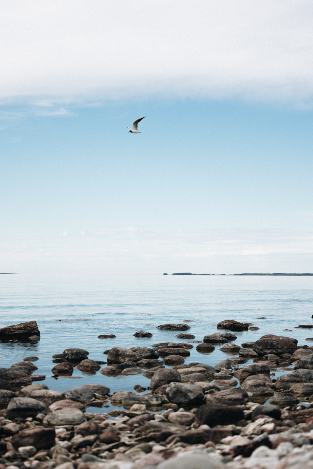 Gotland Folhammar Rauken