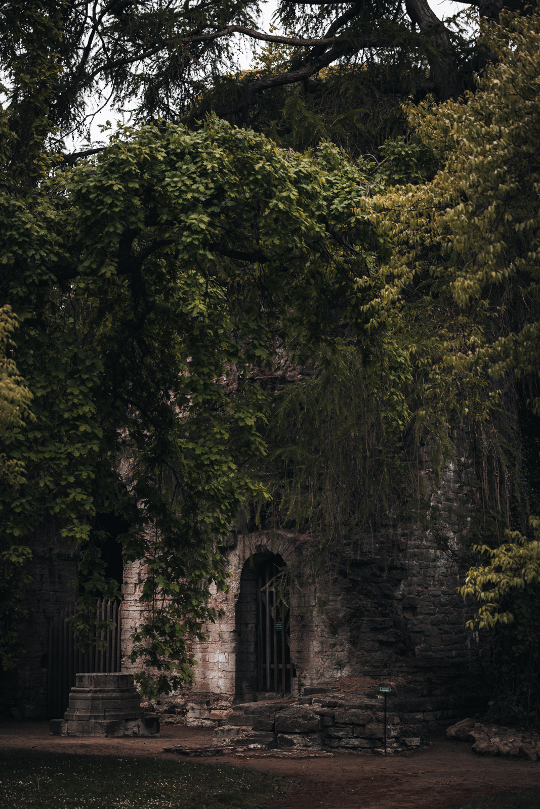 Der perfekte Tag in Visby