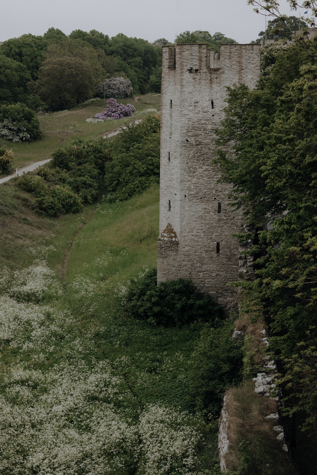 Der perfekte Tag in Visby