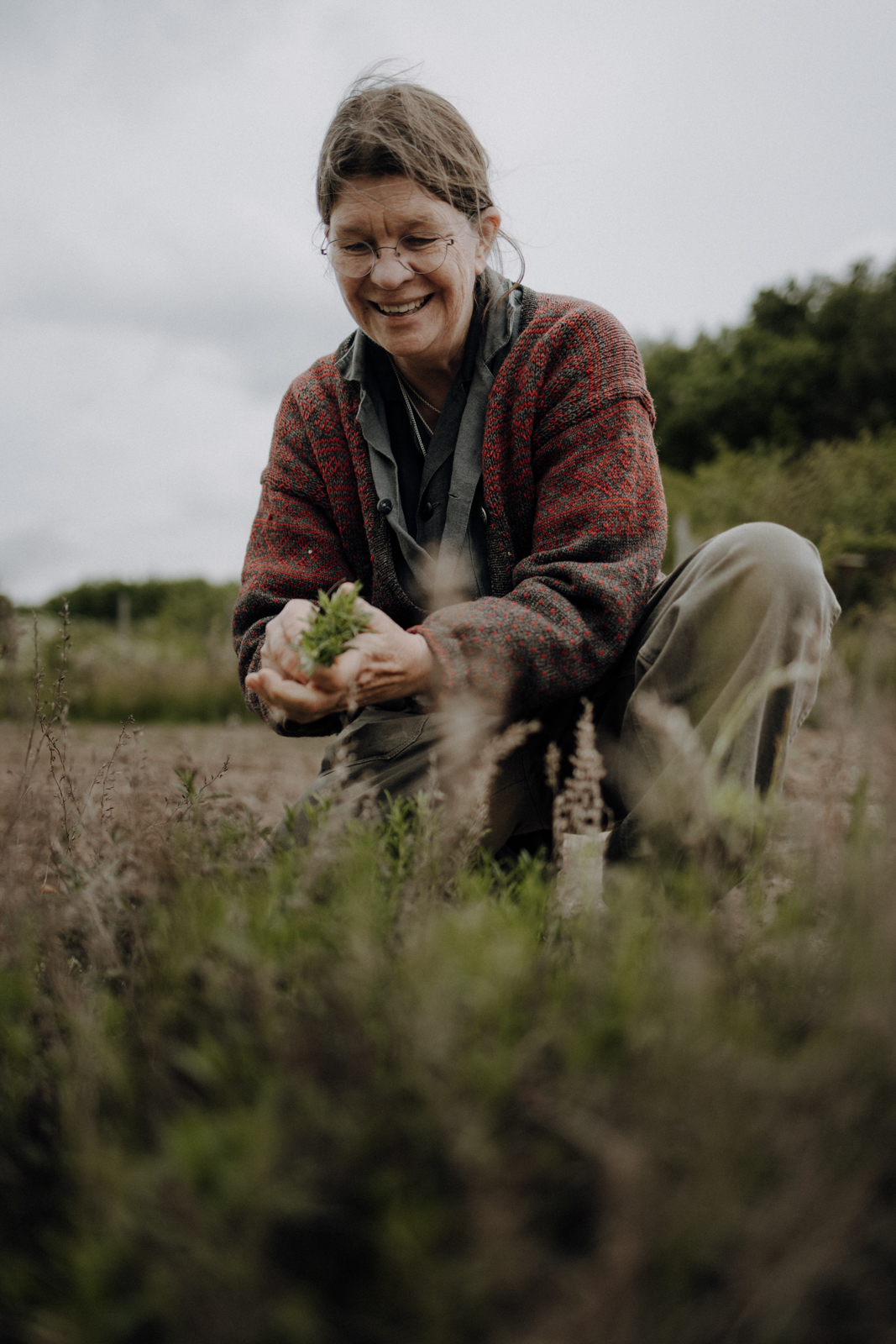 Gotland Lilla Bjers