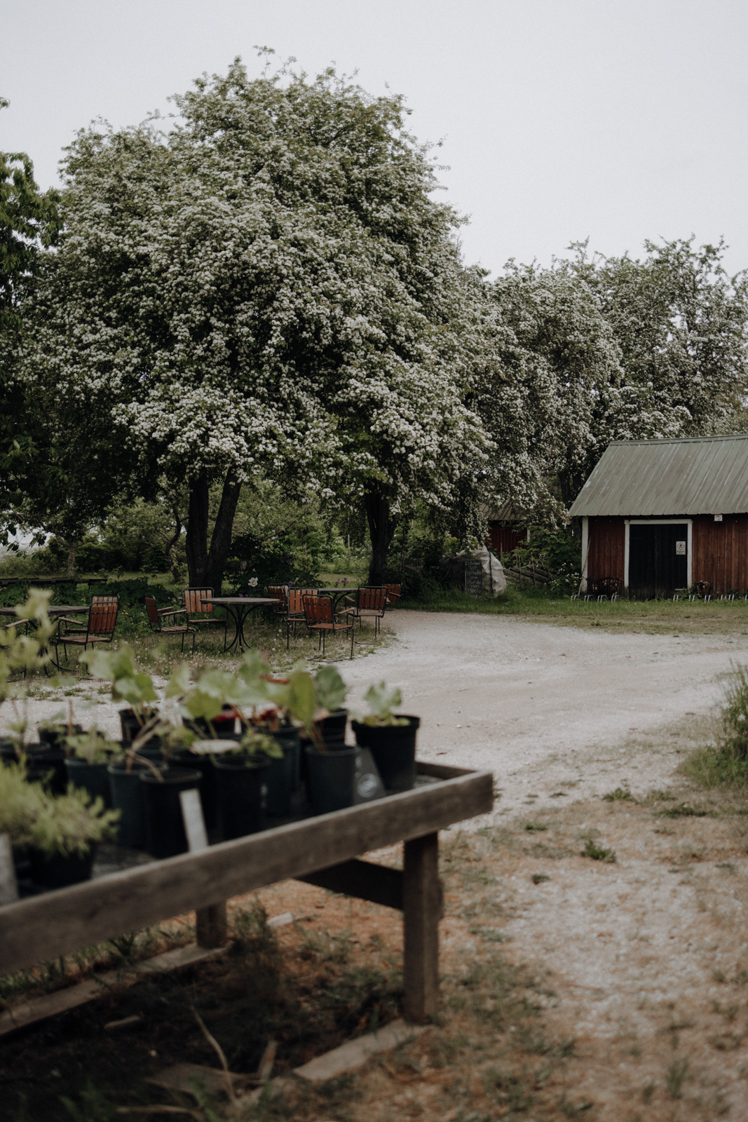 Gotland Lilla Bjers