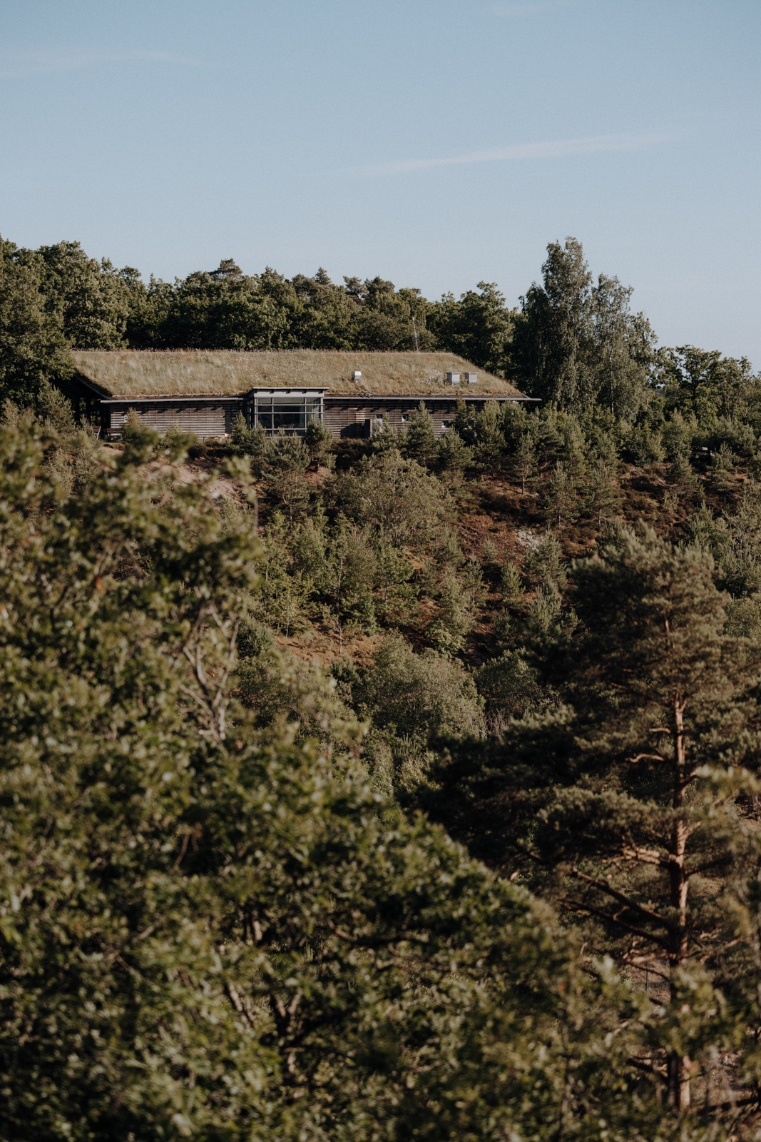 Naturreservat Fjärås Bräcka