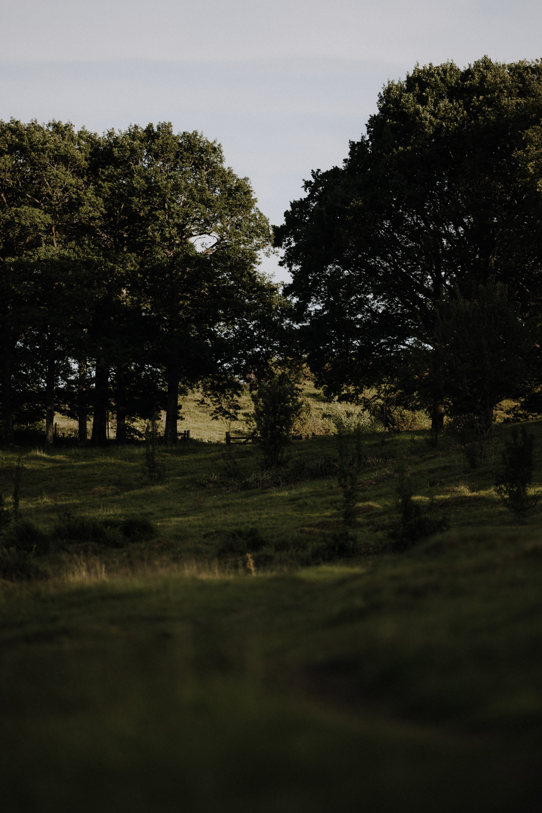 Naturreservat Fjärås Bräcka