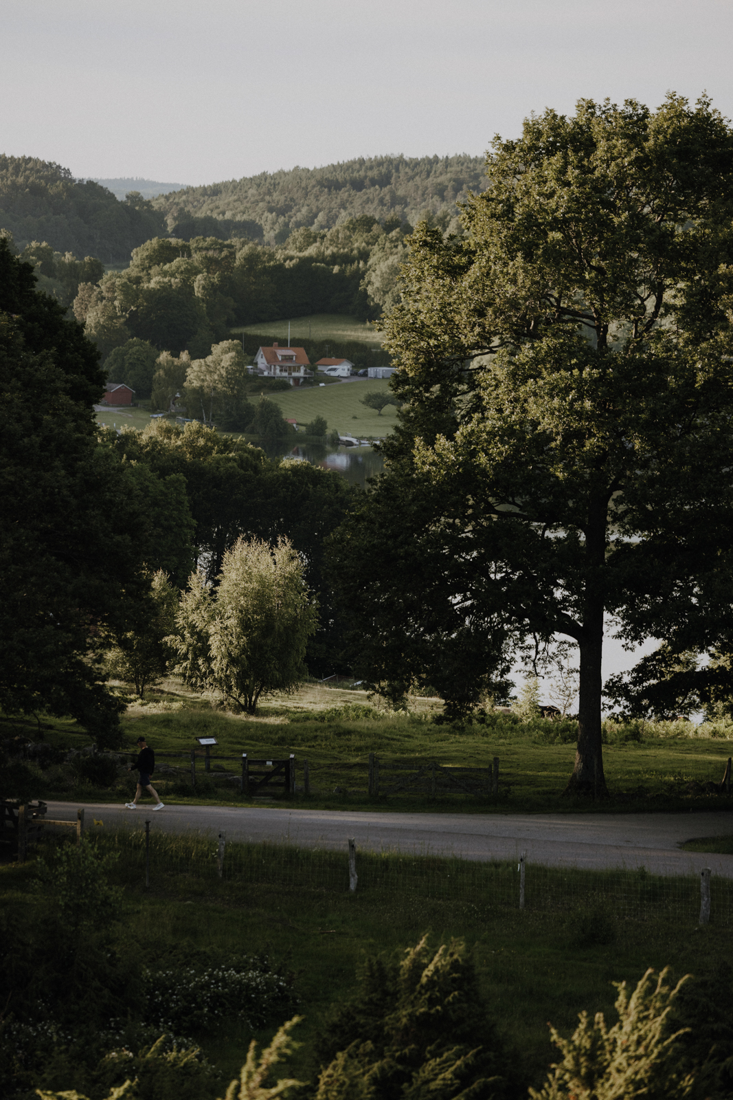 Naturreservat Fjärås Bräcka