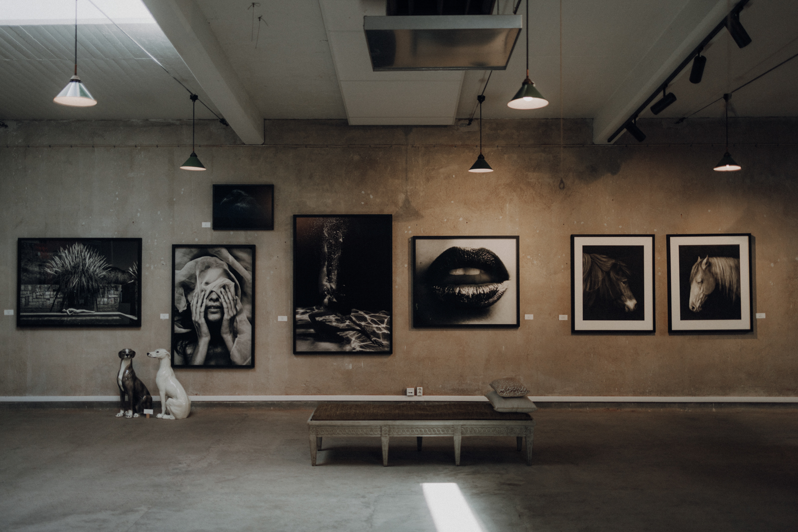 The PhotoGallery Halmstad