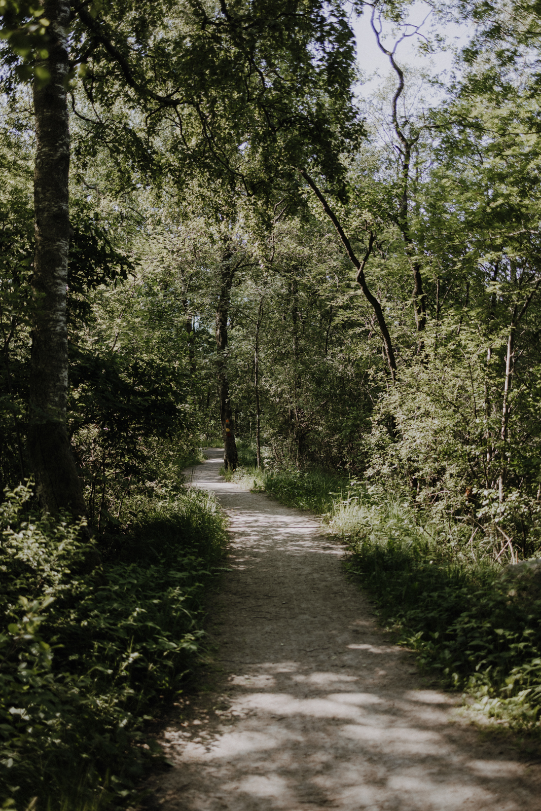 Halland Wandern Hallandsleden