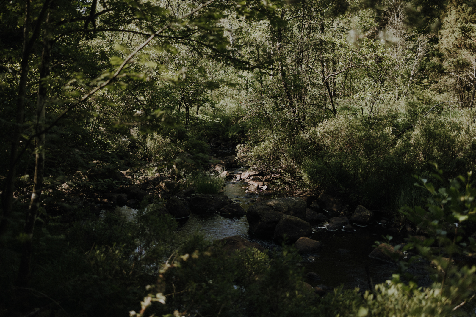Halland Wandern Hallandsleden