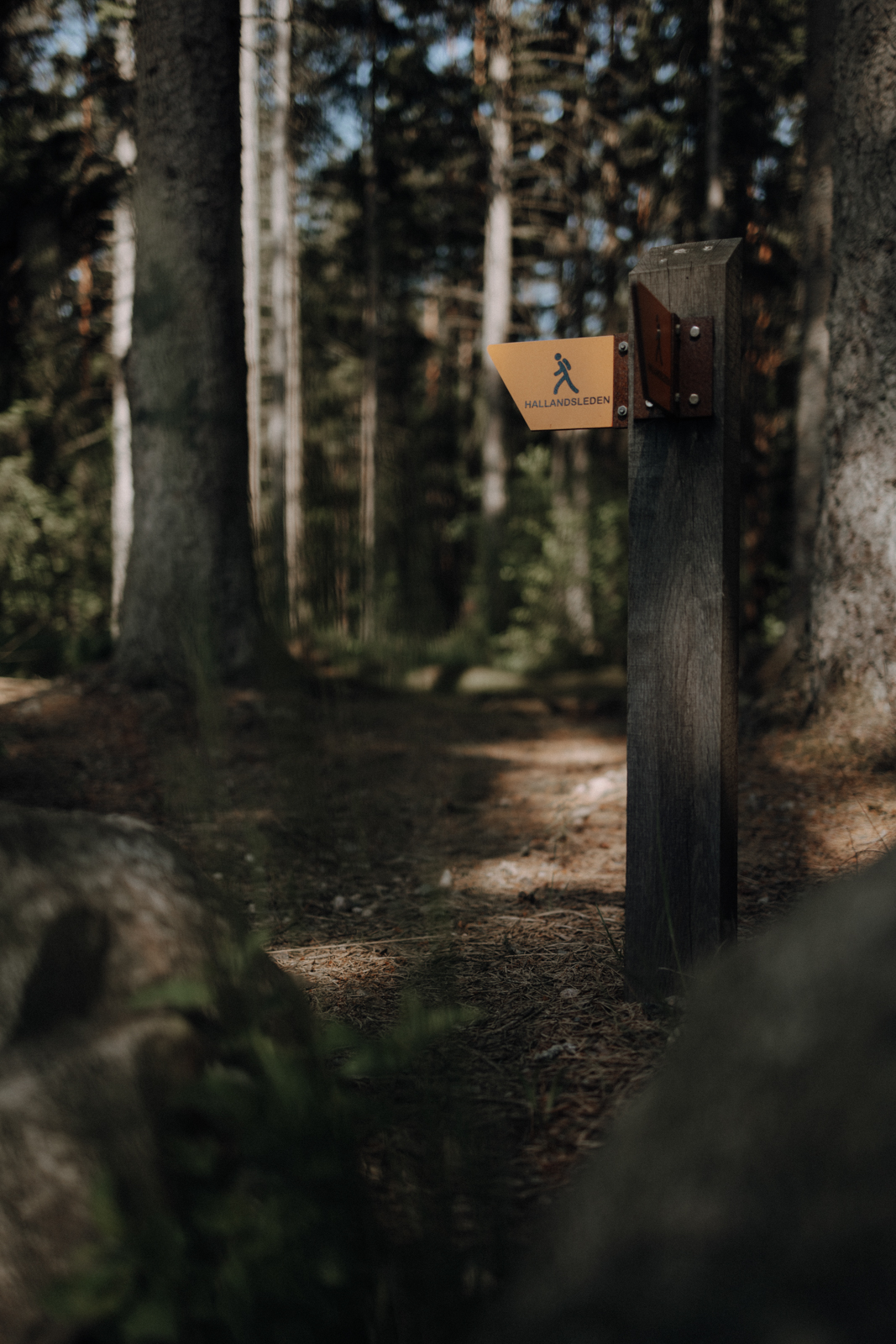 Halland Wandern Hallandsleden