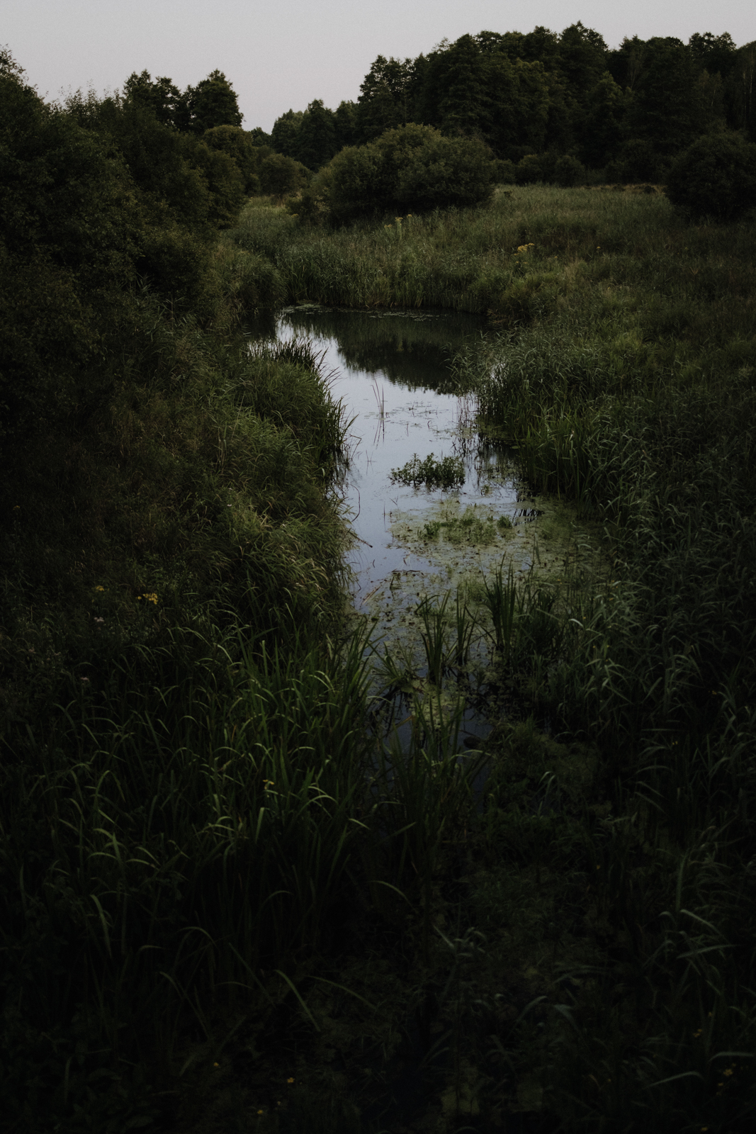 Podlachien Białowieża Kosy Most