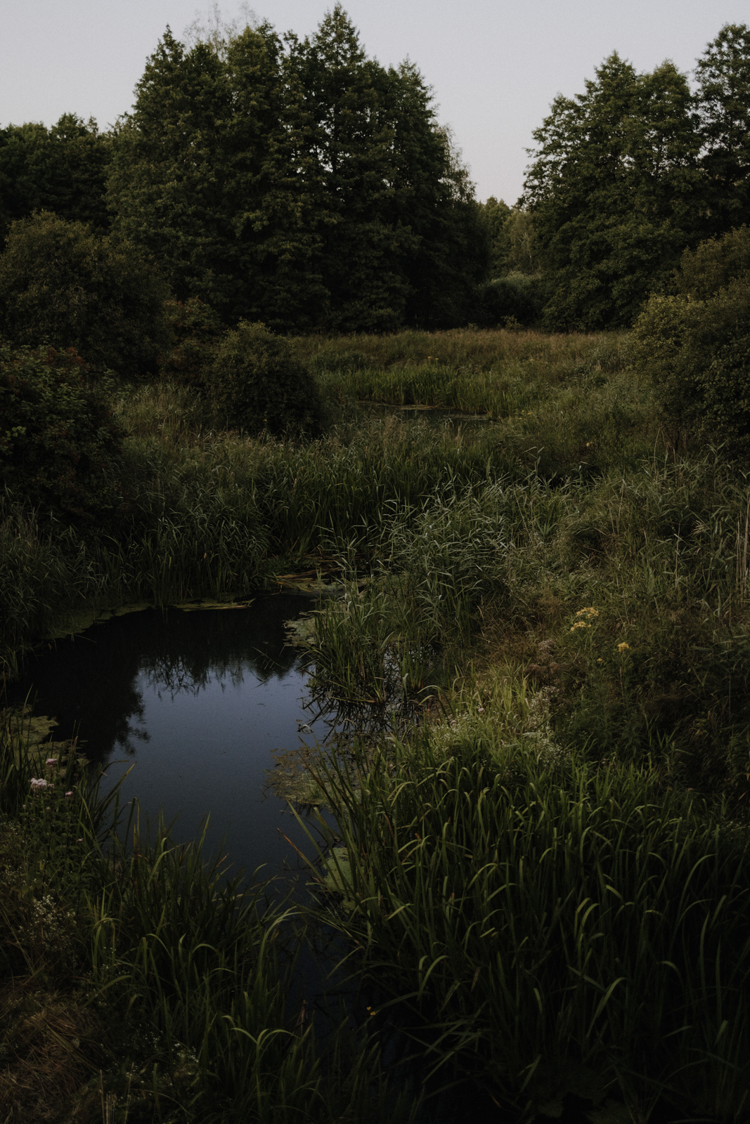 Podlachien Białowieża Kosy Most